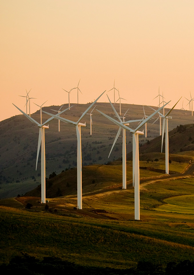 Wind Farm Field
