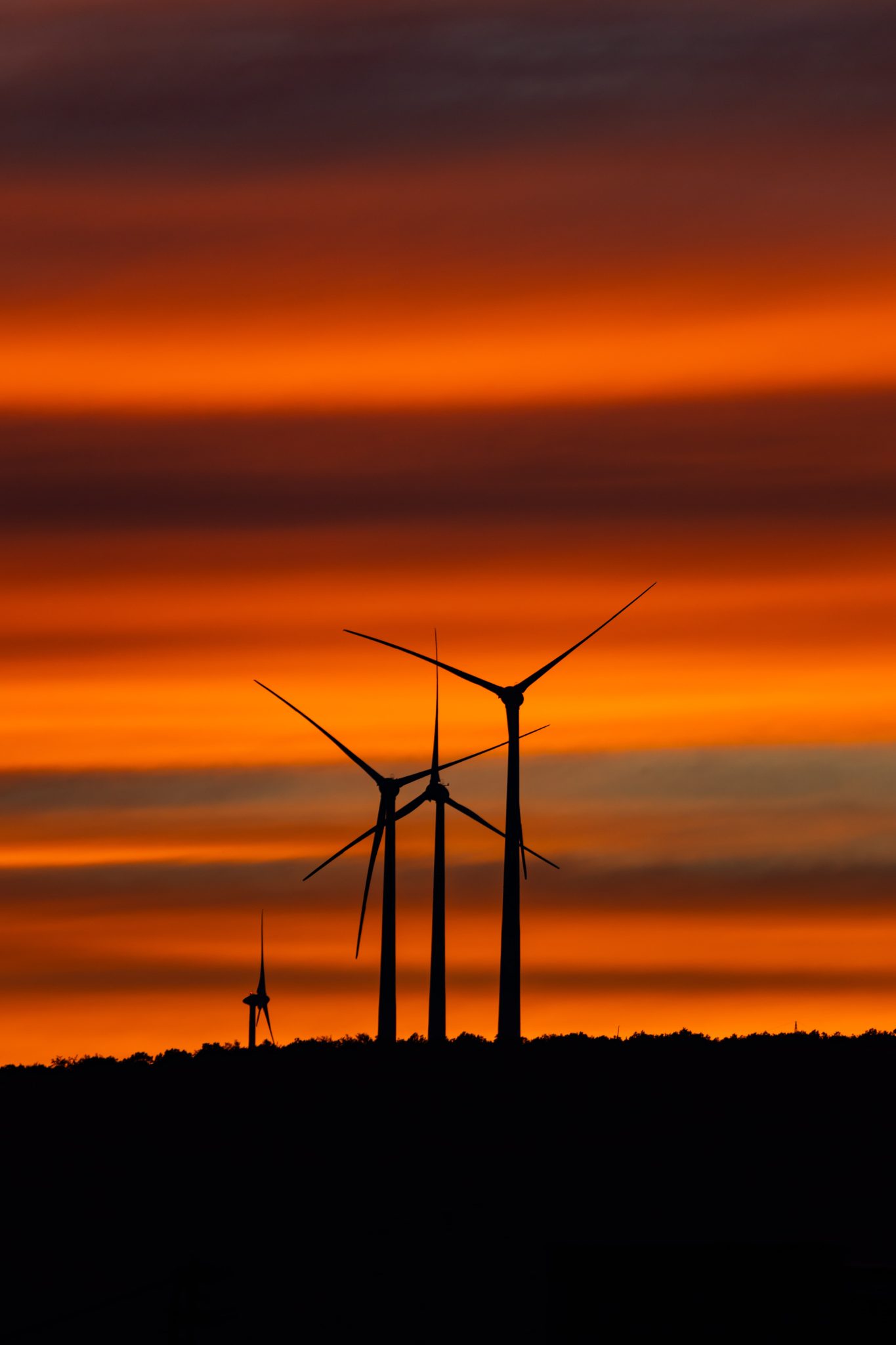 Wind Turbines field