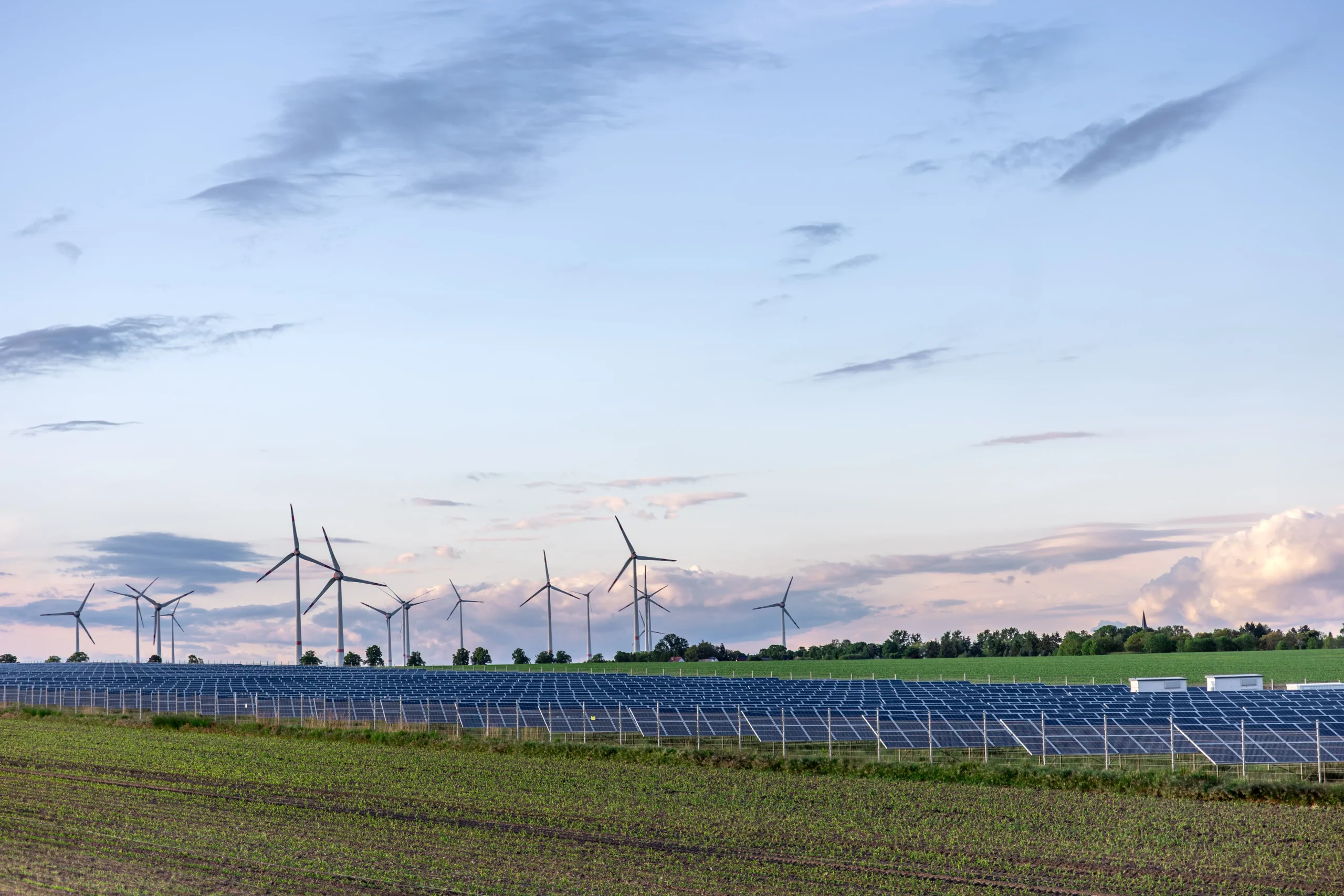 Solar Panels with Field Wind Turbines