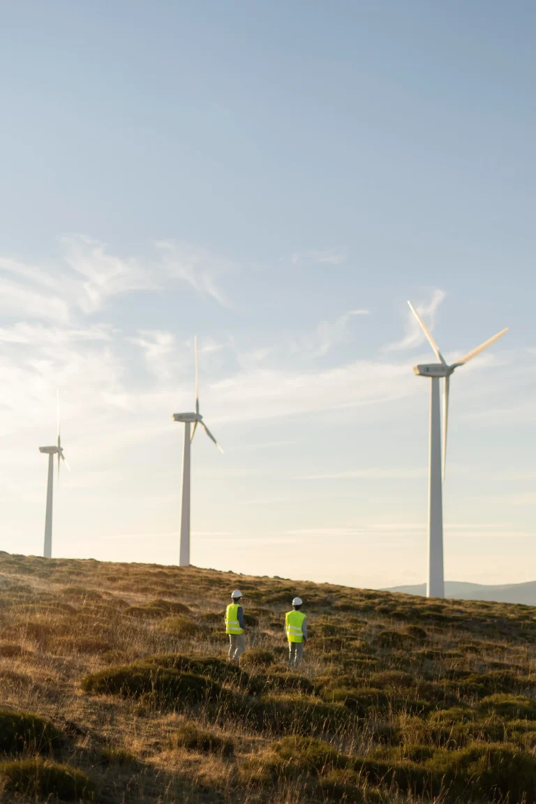 Wind Farm Field