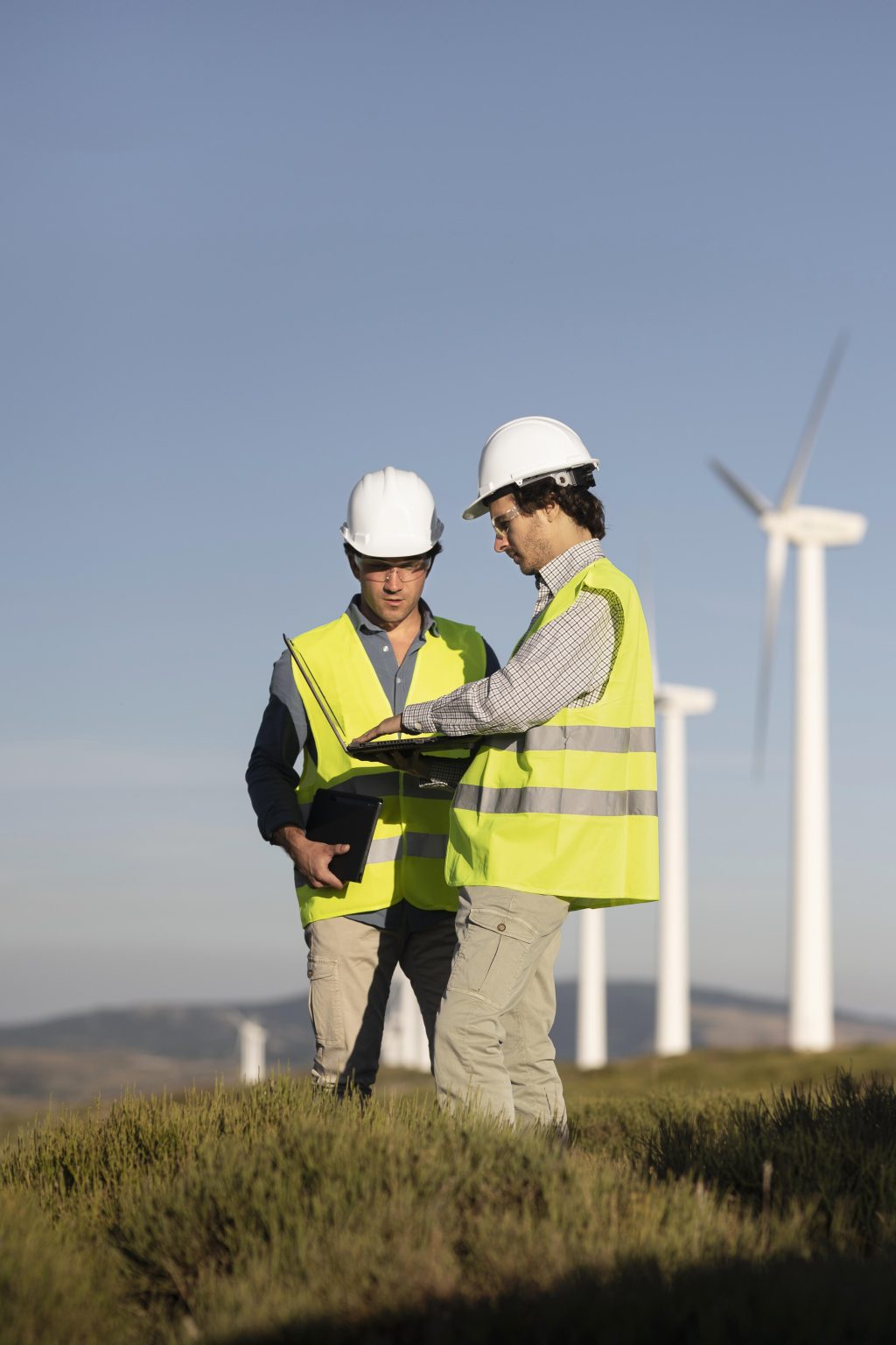 Wind Farm Field