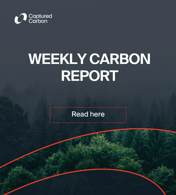 Weekly Carbon Report